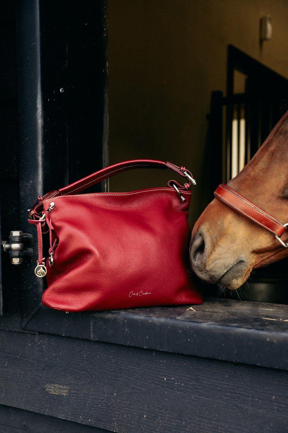 Detail van gespen en ritsen van een Cane & Cavallino tas reinigen