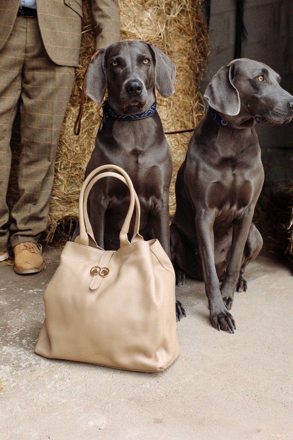 Cane & Cavallino tas veilig bewaren in satijnen dust bag